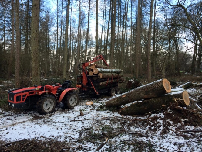 Woodland Management (image 9 of 26)