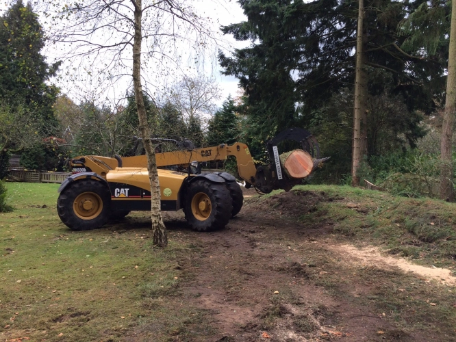 Woodland Management (image 10 of 26)