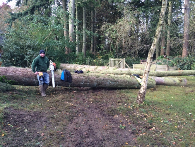 Woodland Management (image 11 of 26)