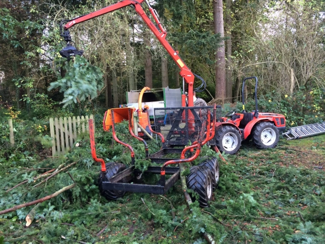 Woodland Management (image 12 of 26)