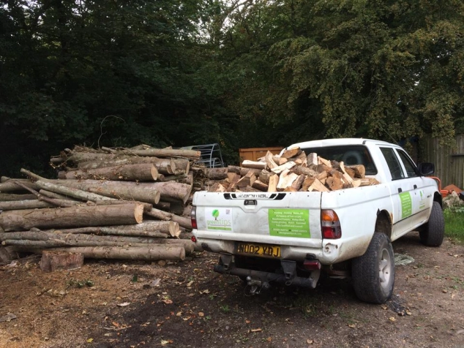 Woodland Management (image 17 of 26)