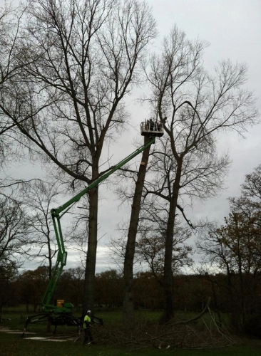 Woodland Management (image 18 of 26)
