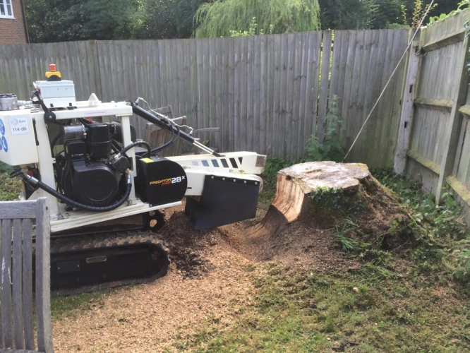 Woodland Management (image 21 of 26)
