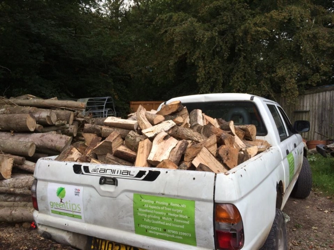 Firewood Supply