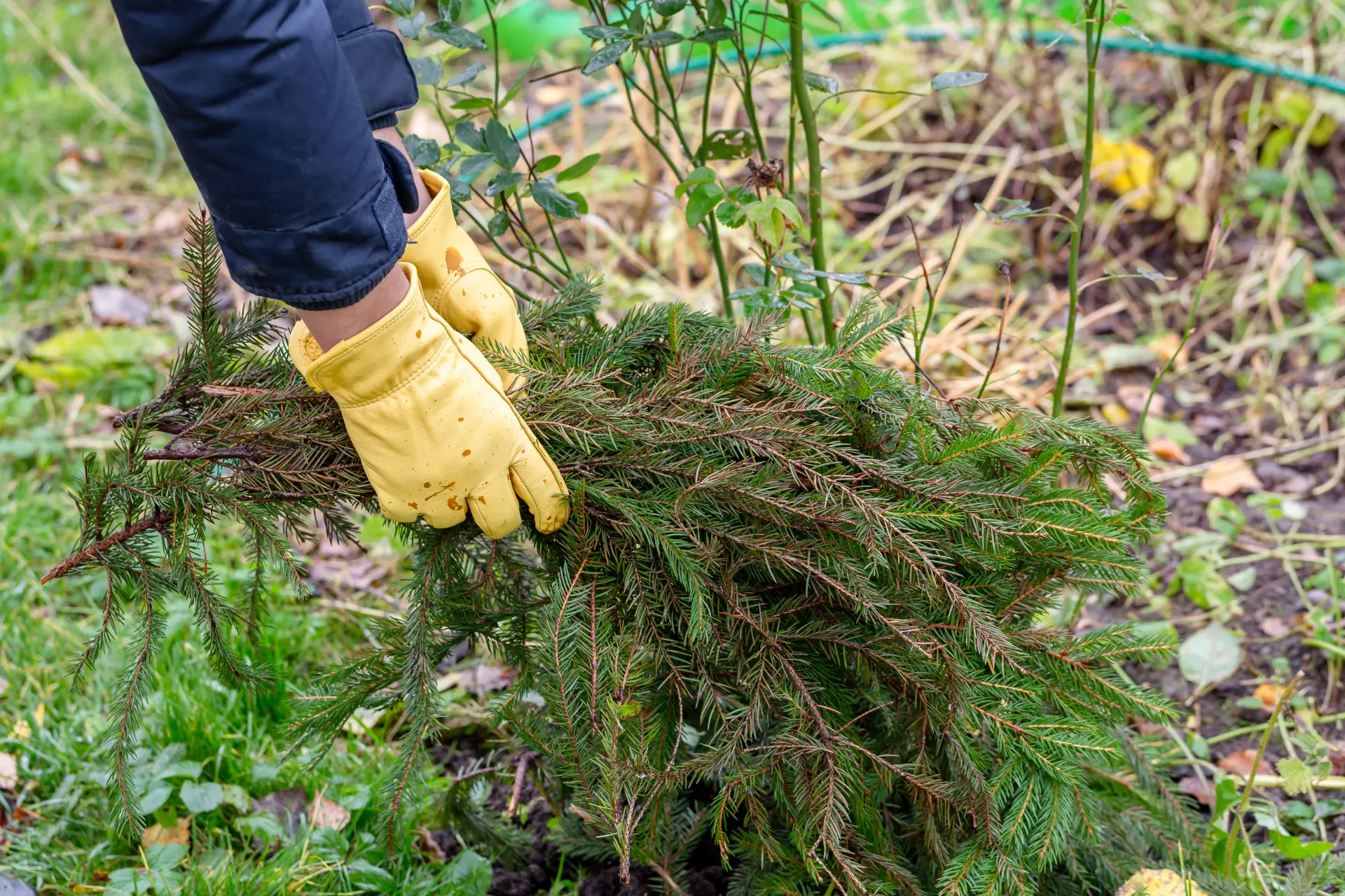 Vegetation Clearance Works