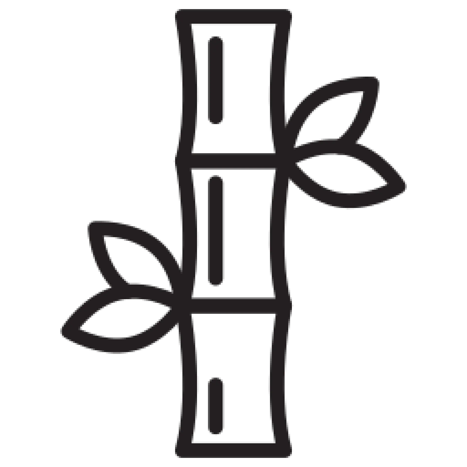 Bamboo icon