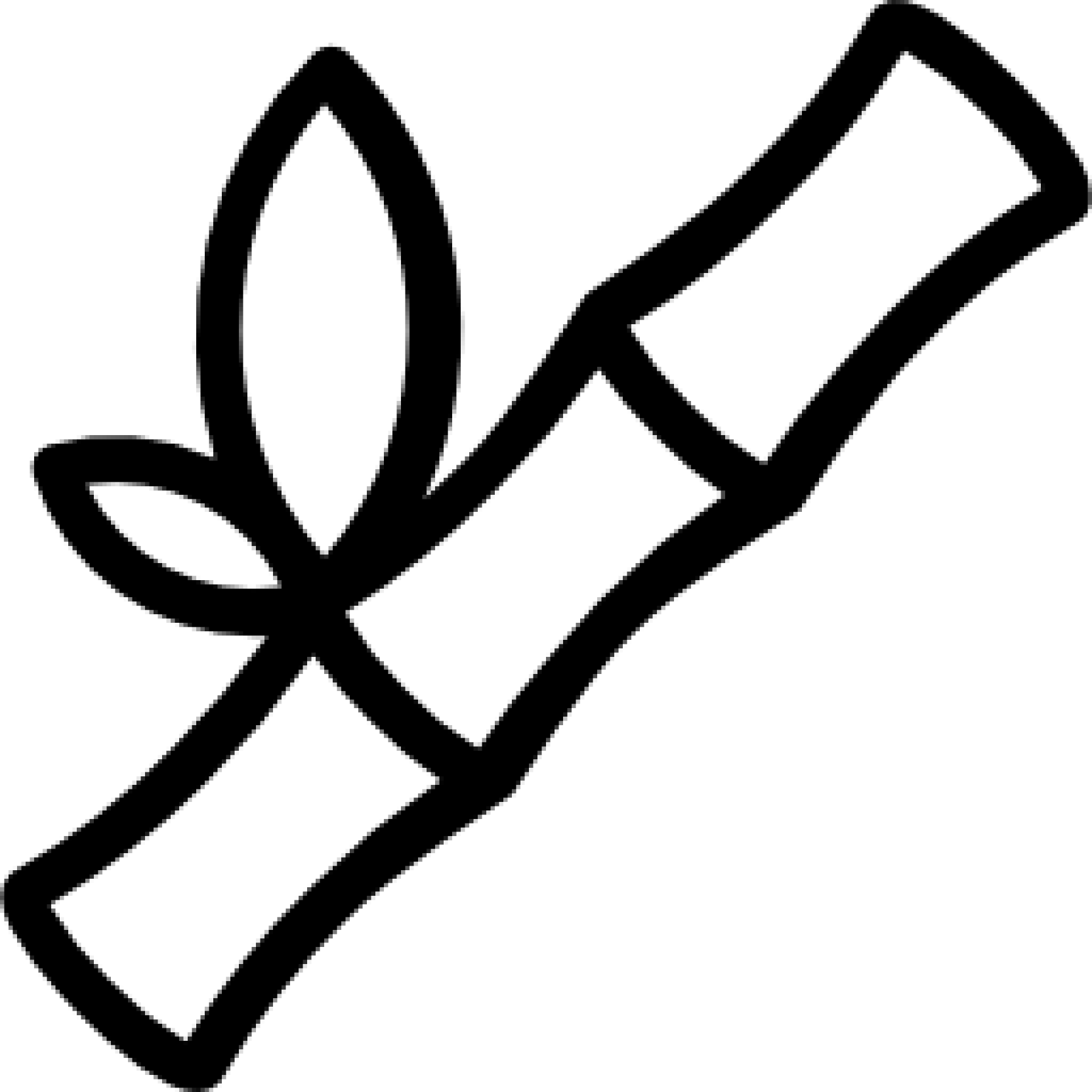 Bamboo icon