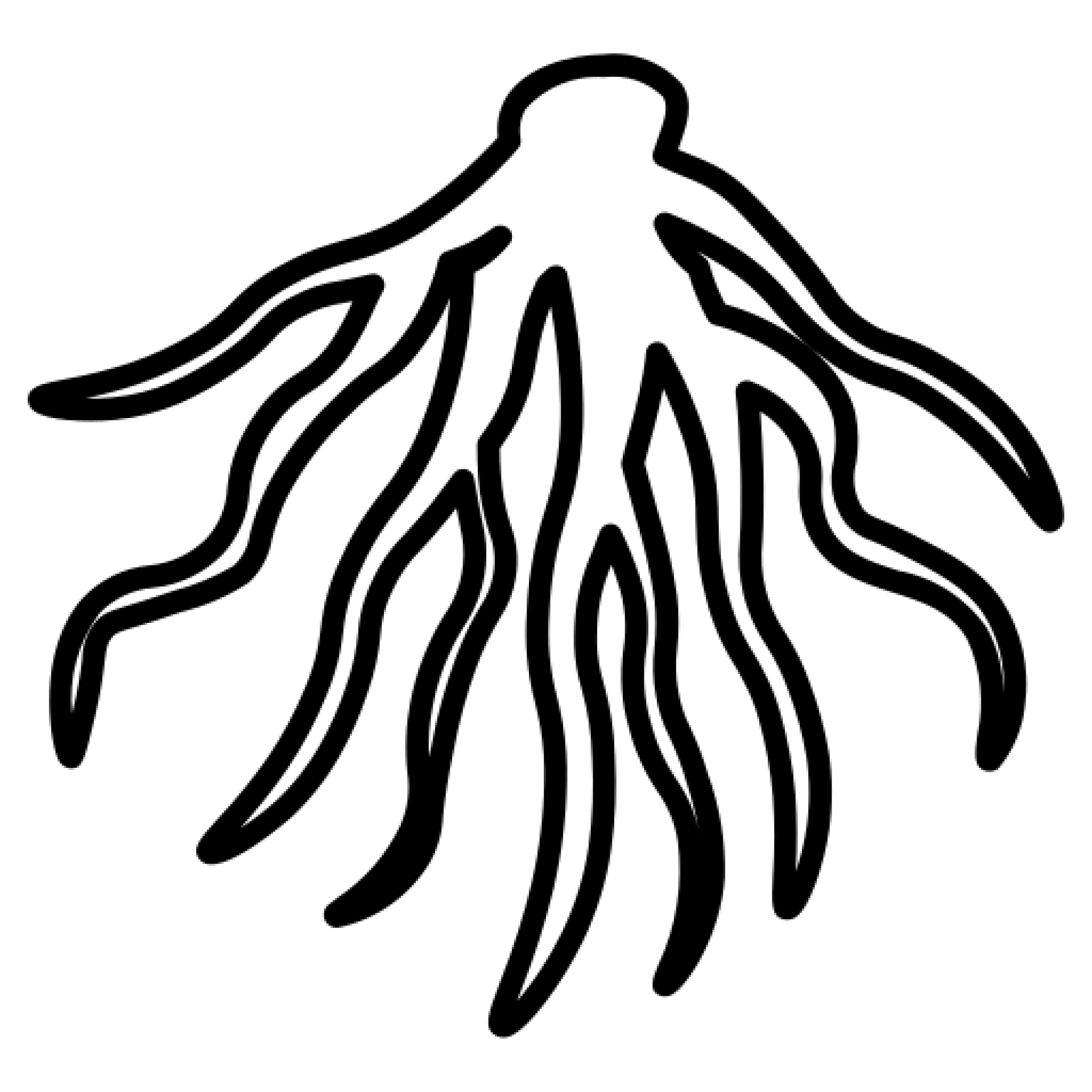 Root Interception