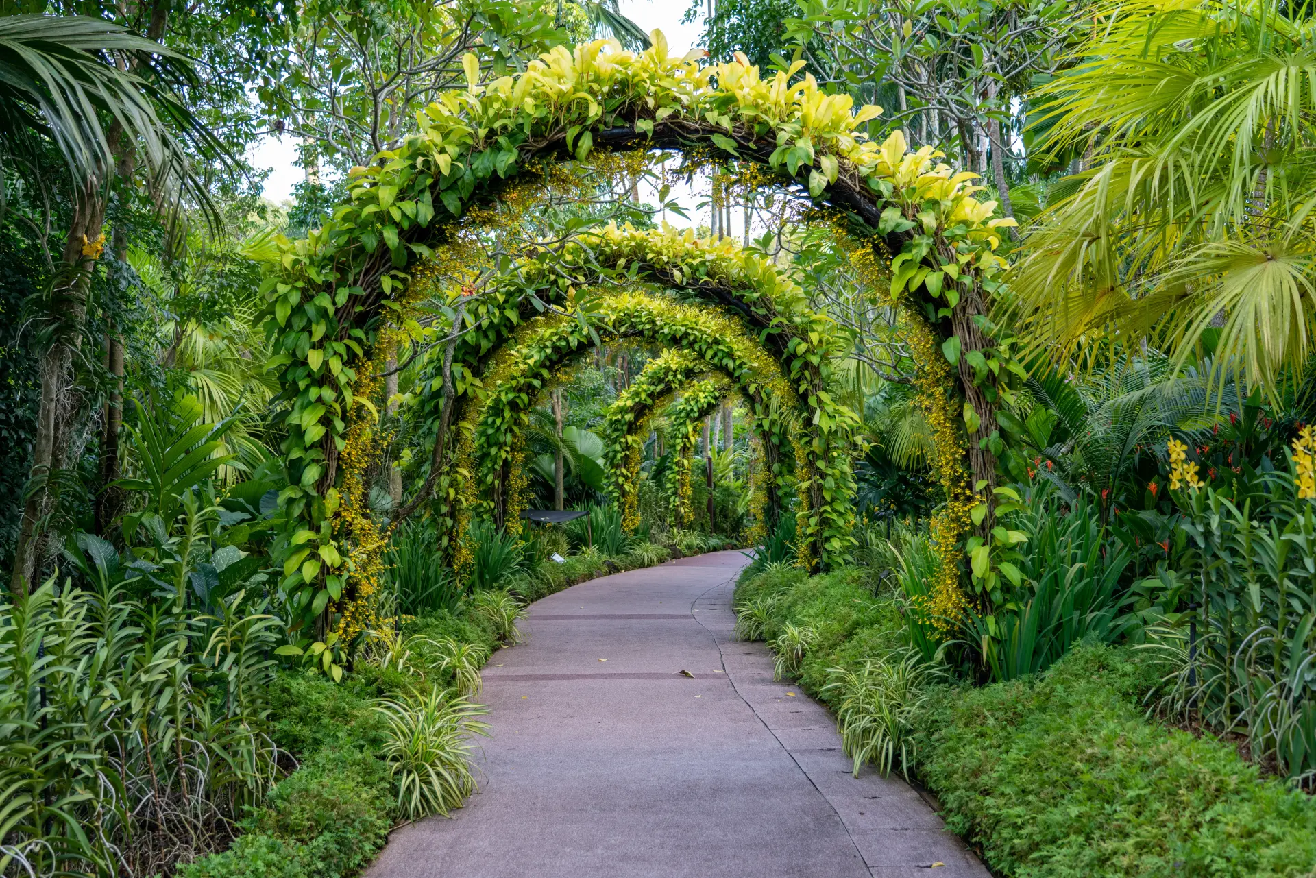 How Hard Landscaping Can Transform Your Outdoor Space