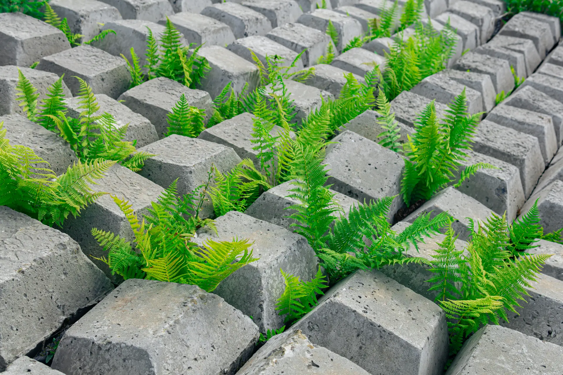 Concrete - Hard Landscaping Materials