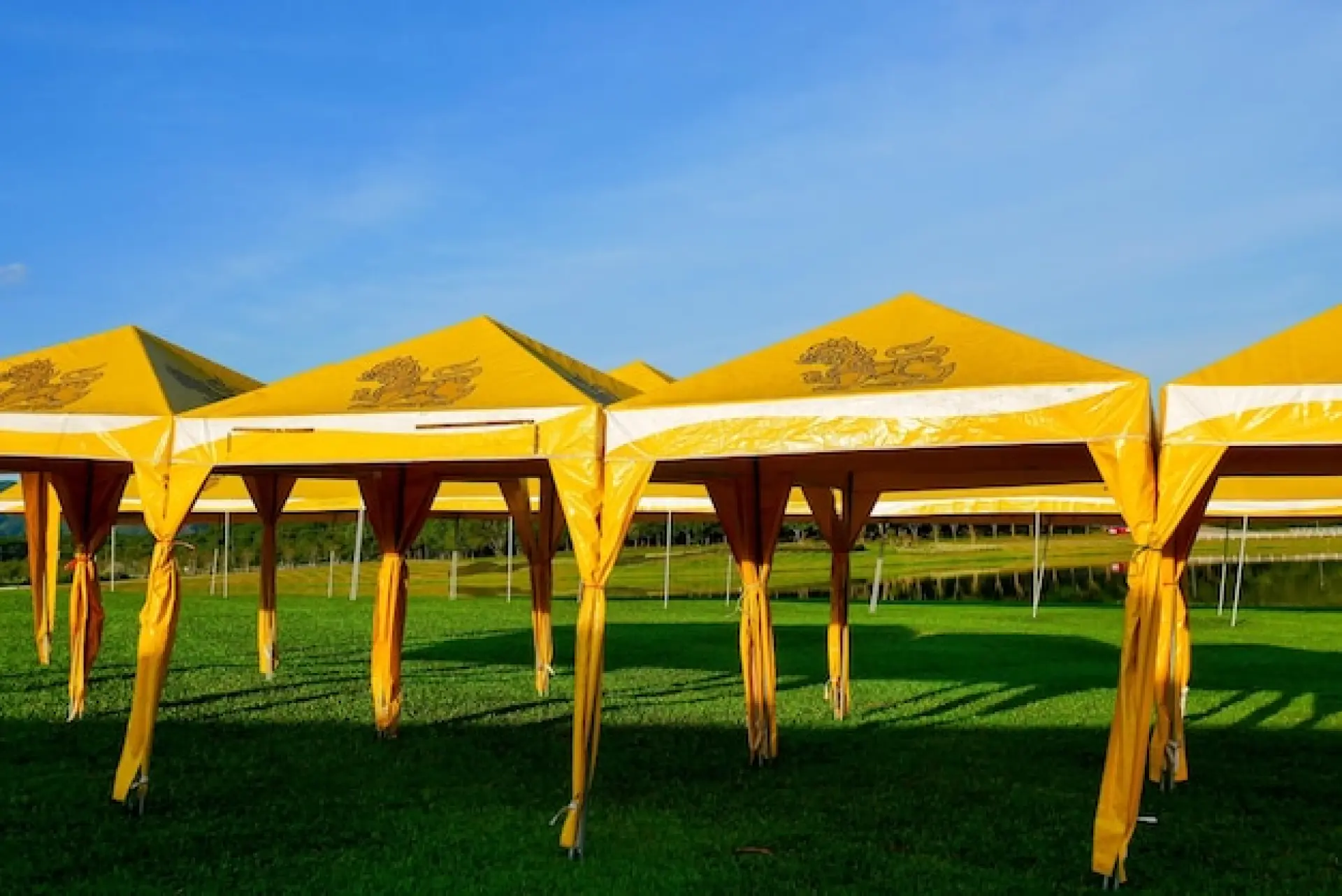 How to Choose the Right Temporary Sports Structure for Your Needs