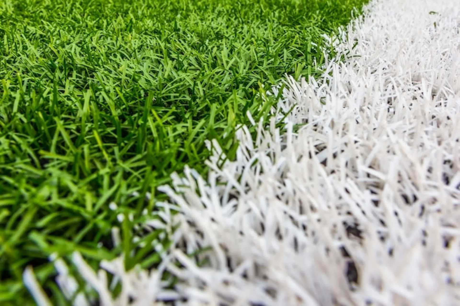 Event Spaces for Competitions and Tournaments - Temporary Sports Structures in Schools
