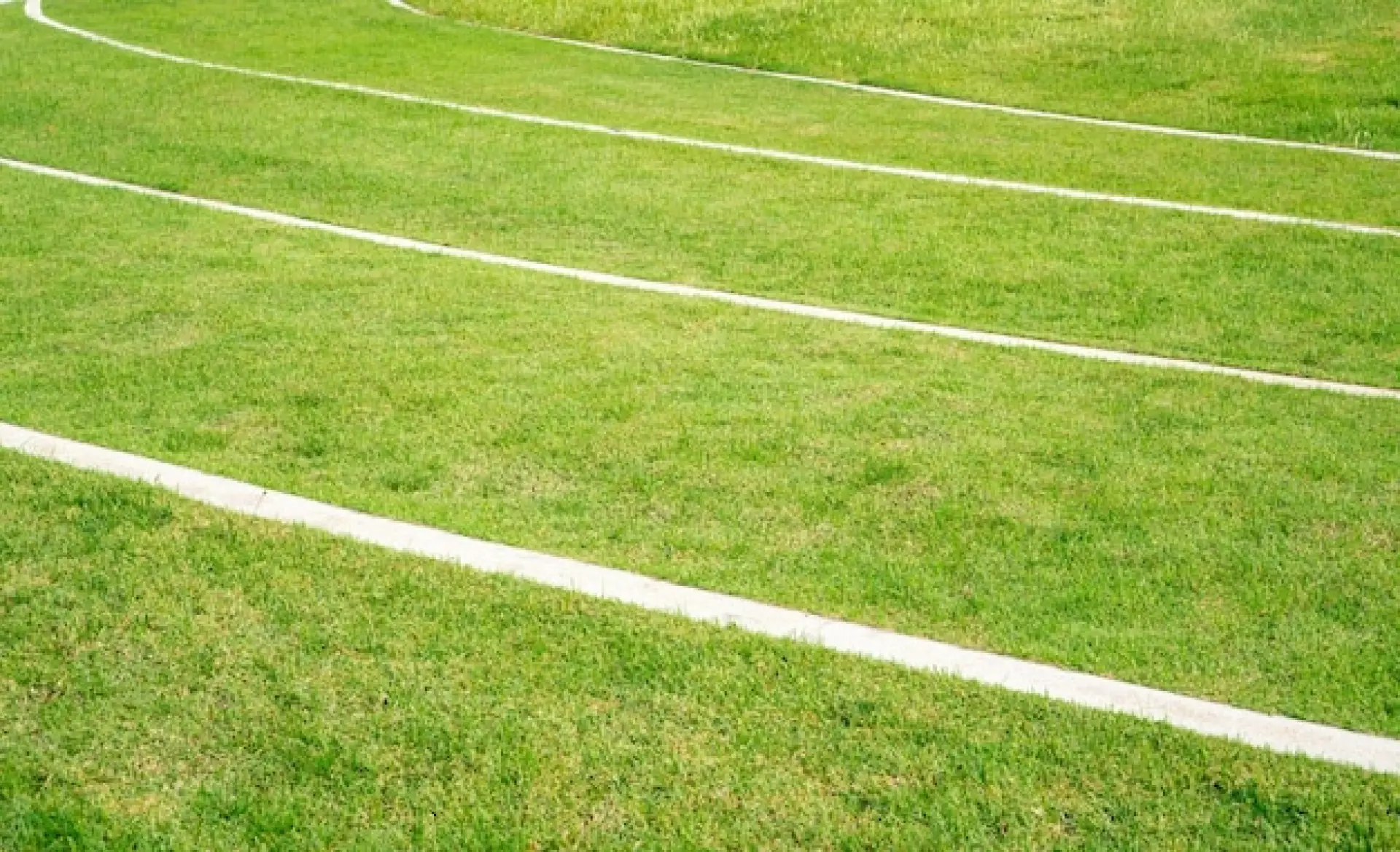 Choosing a Temporary Sports Structure