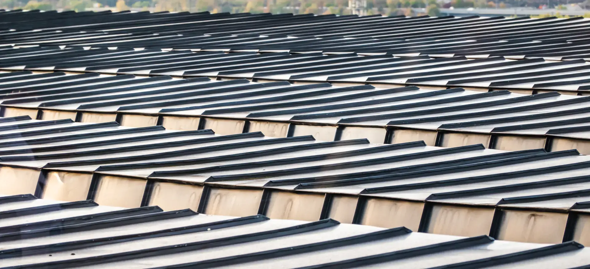 Common Types of Metal Roofs for Businesses