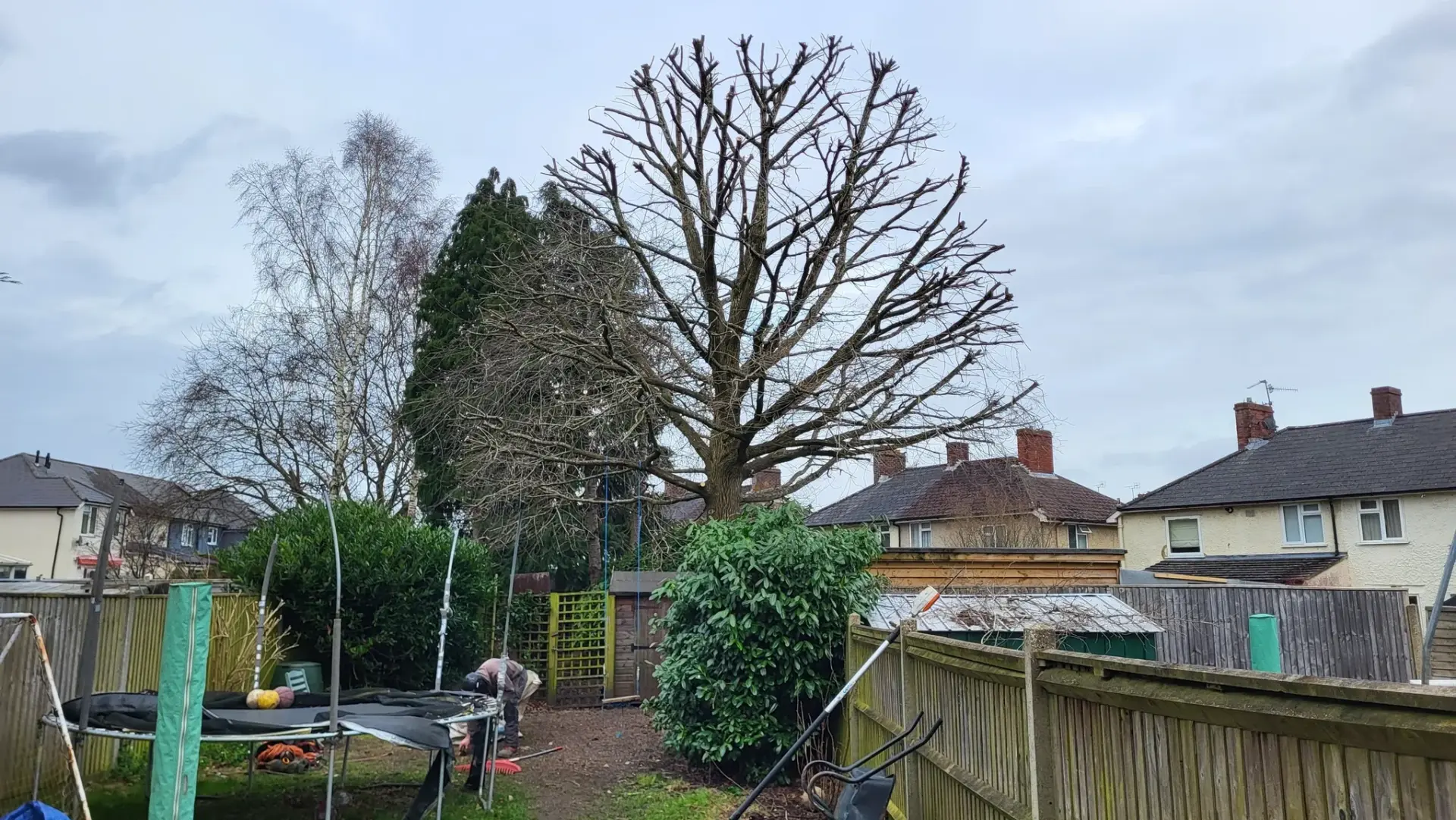 24 7 emergency tree surgery hampshire