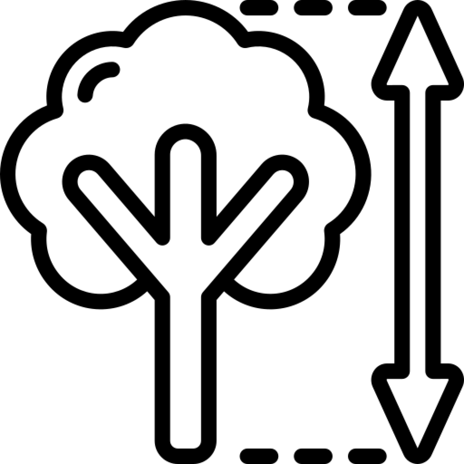 Crown Reduction