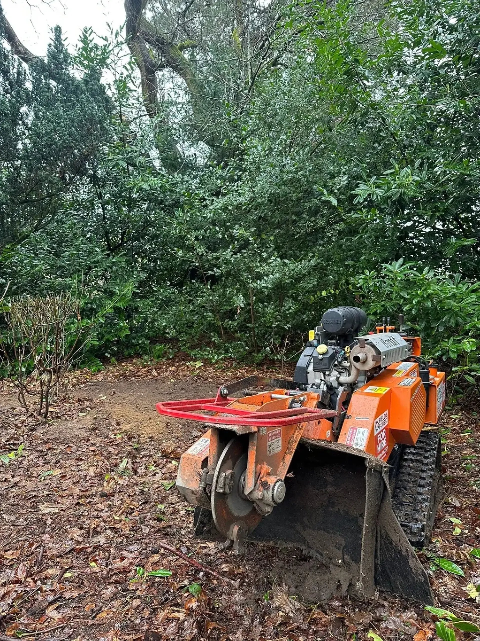 Forestry and Tree Care Services Alton, Hindhead, Farnham, Hampshire