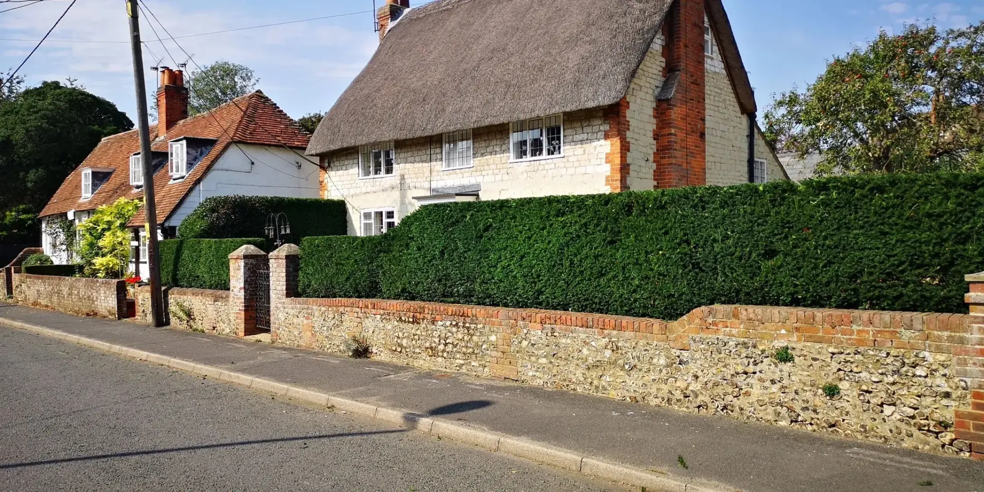 Tree Surgeon in Alton, Hindhead, Farnham, Hampshire