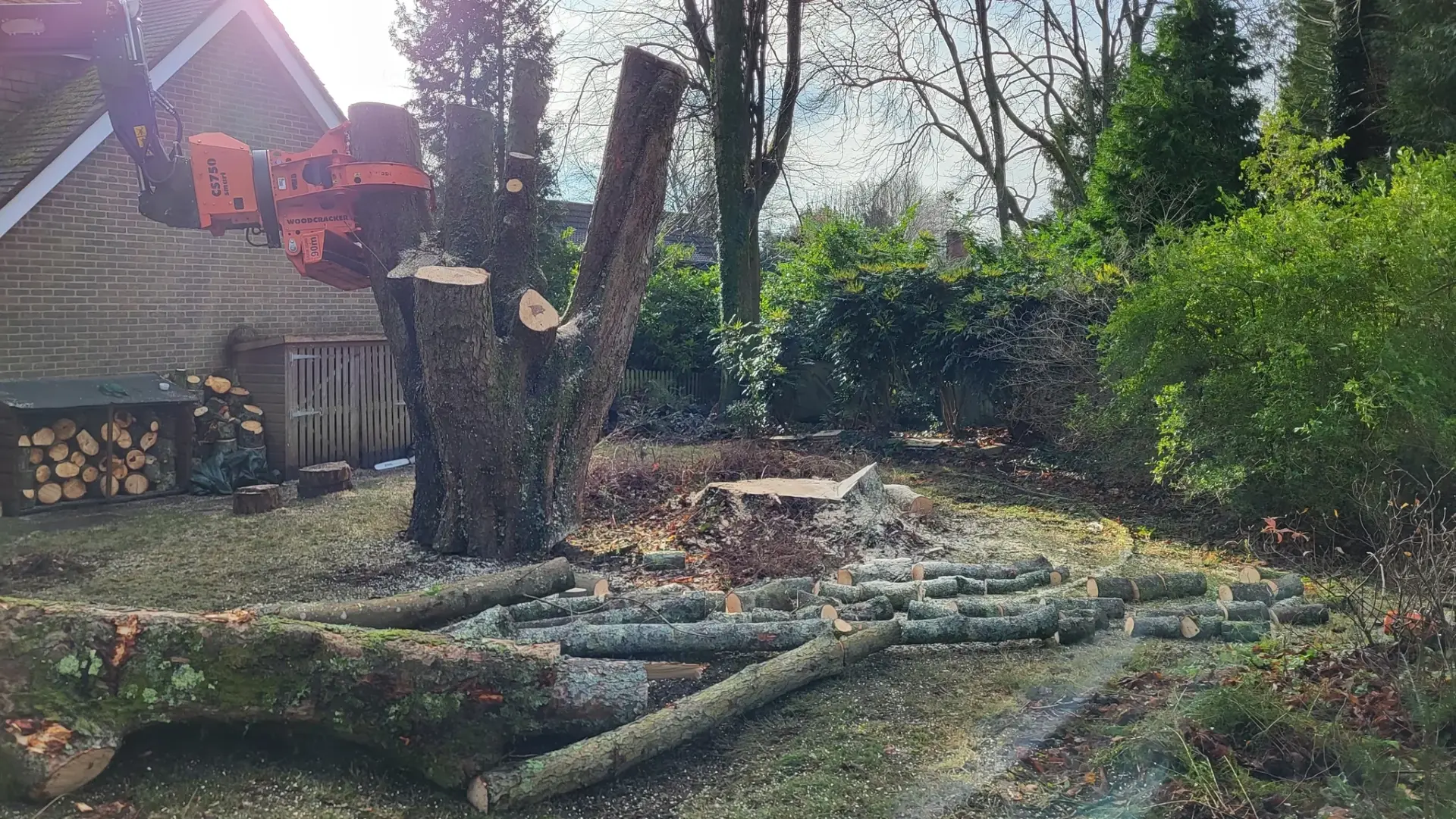 Stump Grinding Alton, Hindhead, Farnham, Hampshire