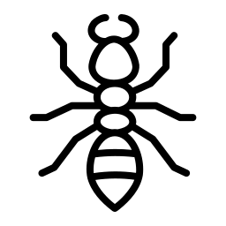 Ant