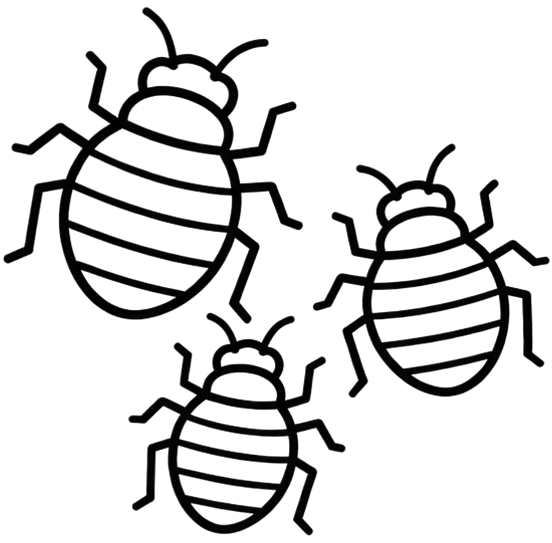 Bed bug infestation treatment