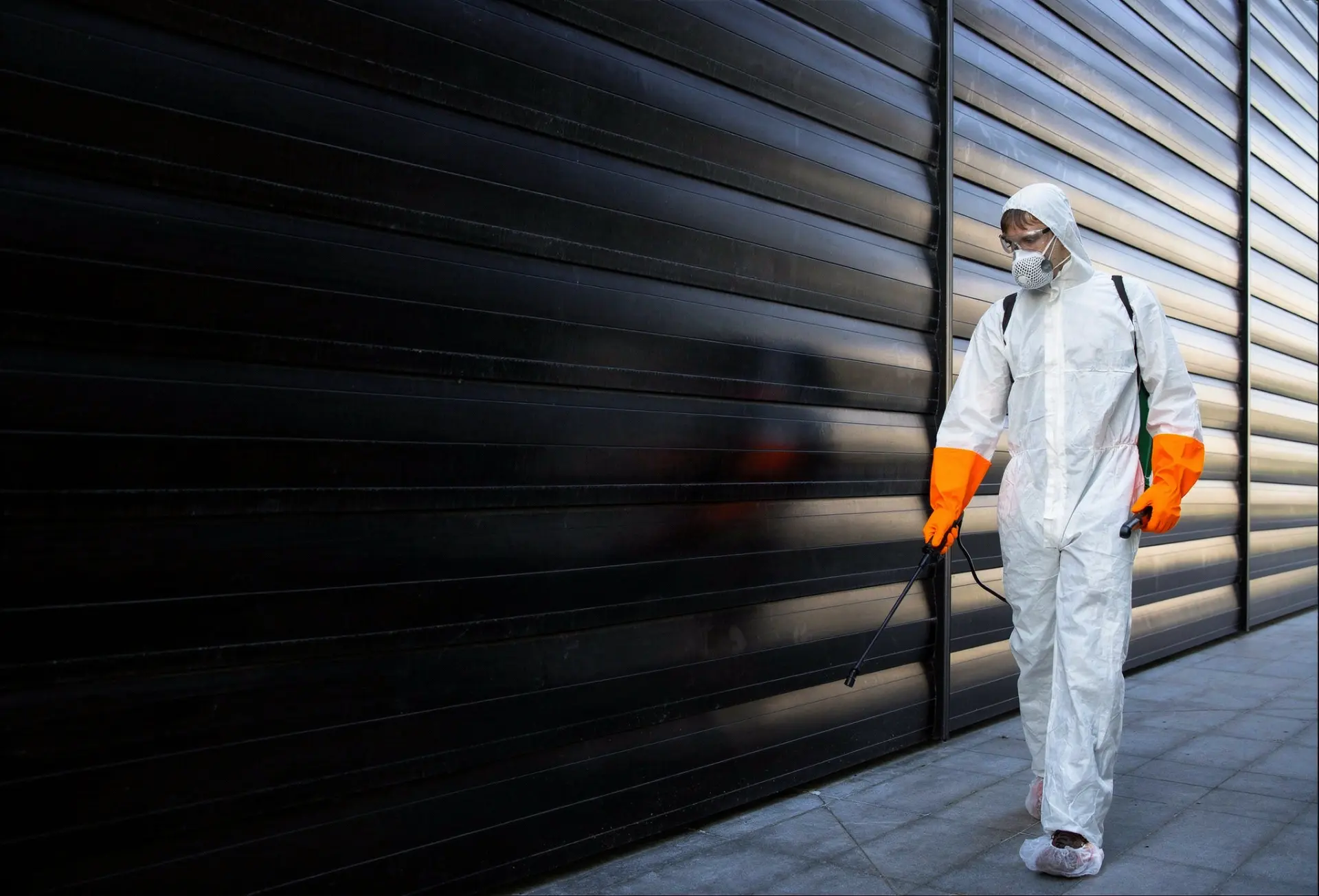 Pest Removal Services Portsmouth, Southampton, Basingstoke and Hampshire