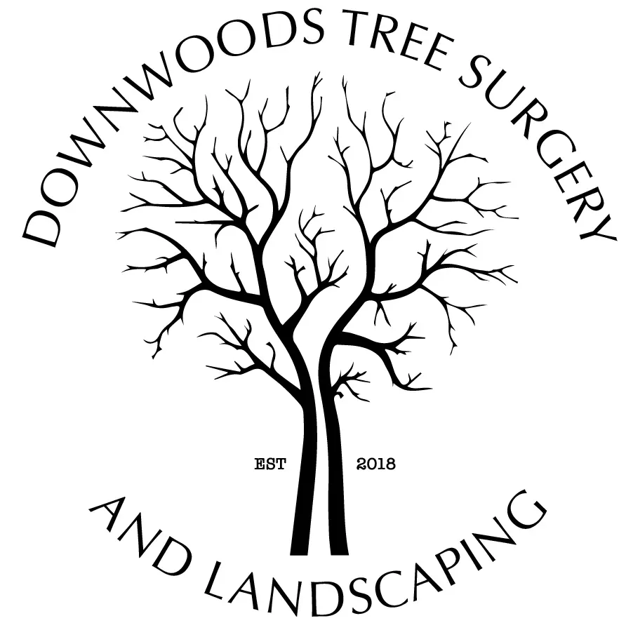 Leicester Tree Surgeons