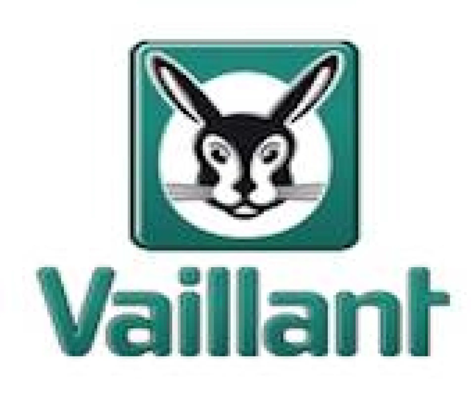 Vaillant Boilers