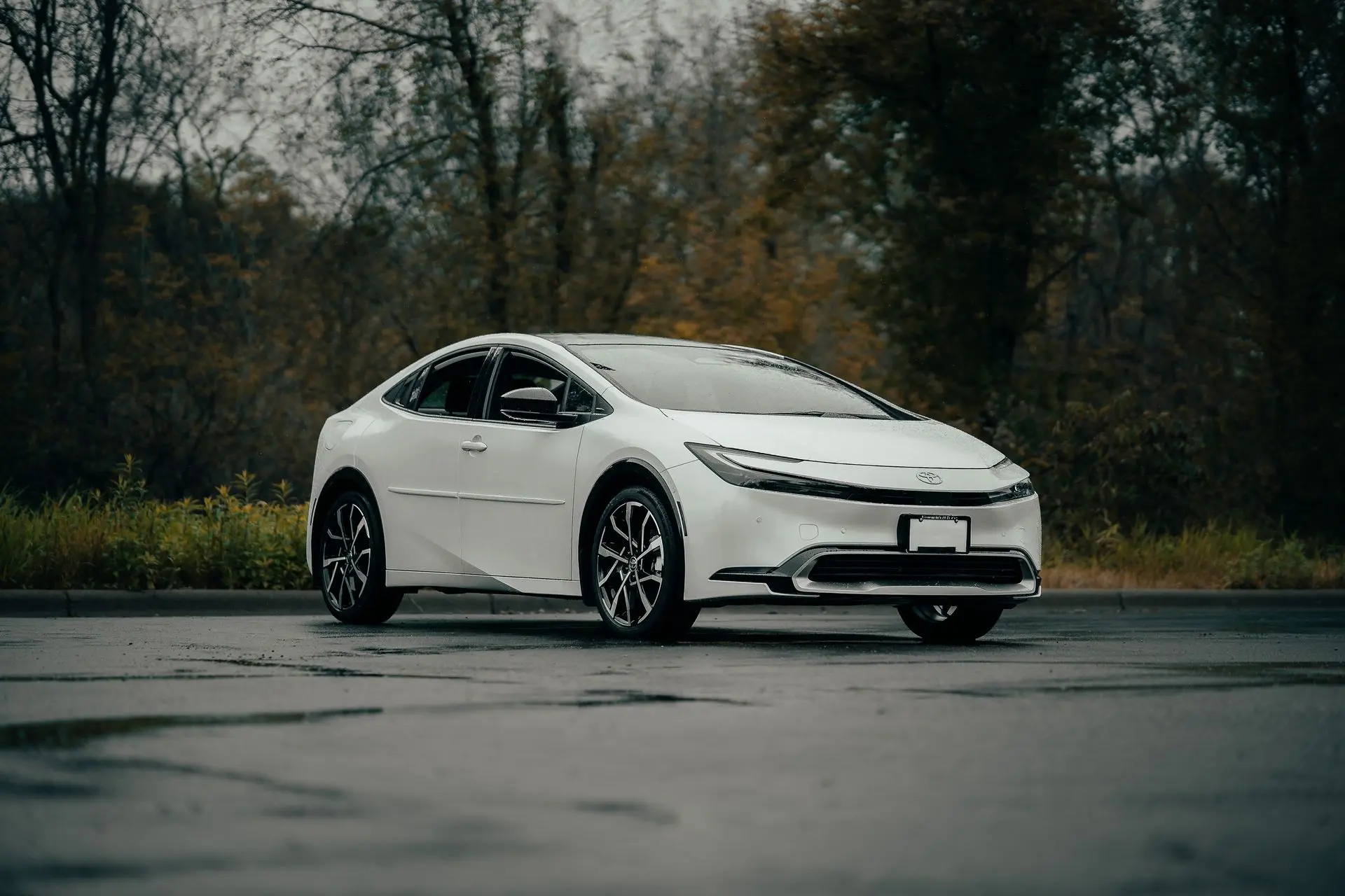 Are Hybrid Cars Suitable for Dual Control Fitting Are Hybrid Cars Suitable for Dual Control Fitting Image