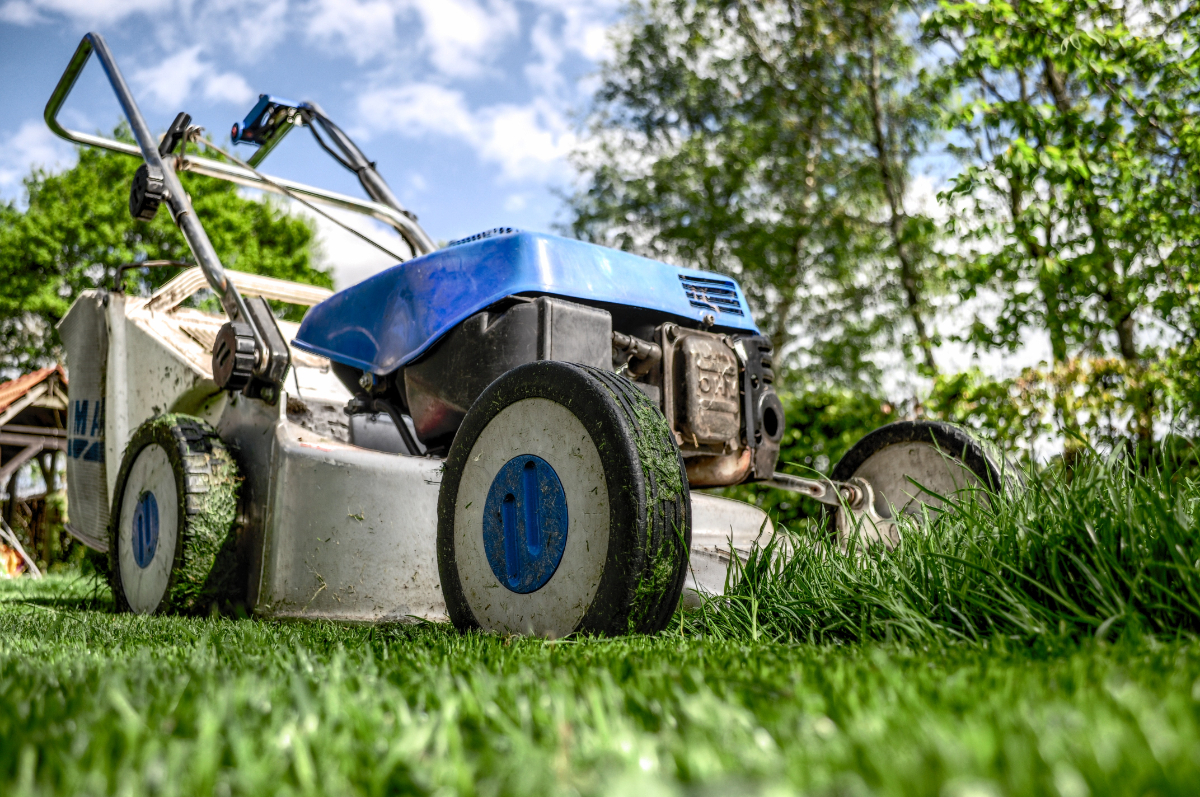 How Often Should You Mow Your Lawn for Best Results Image