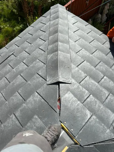 Conservatory roof redo with Tapcos (image 8 of 18)