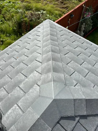 Conservatory roof redo with Tapcos (image 10 of 18)