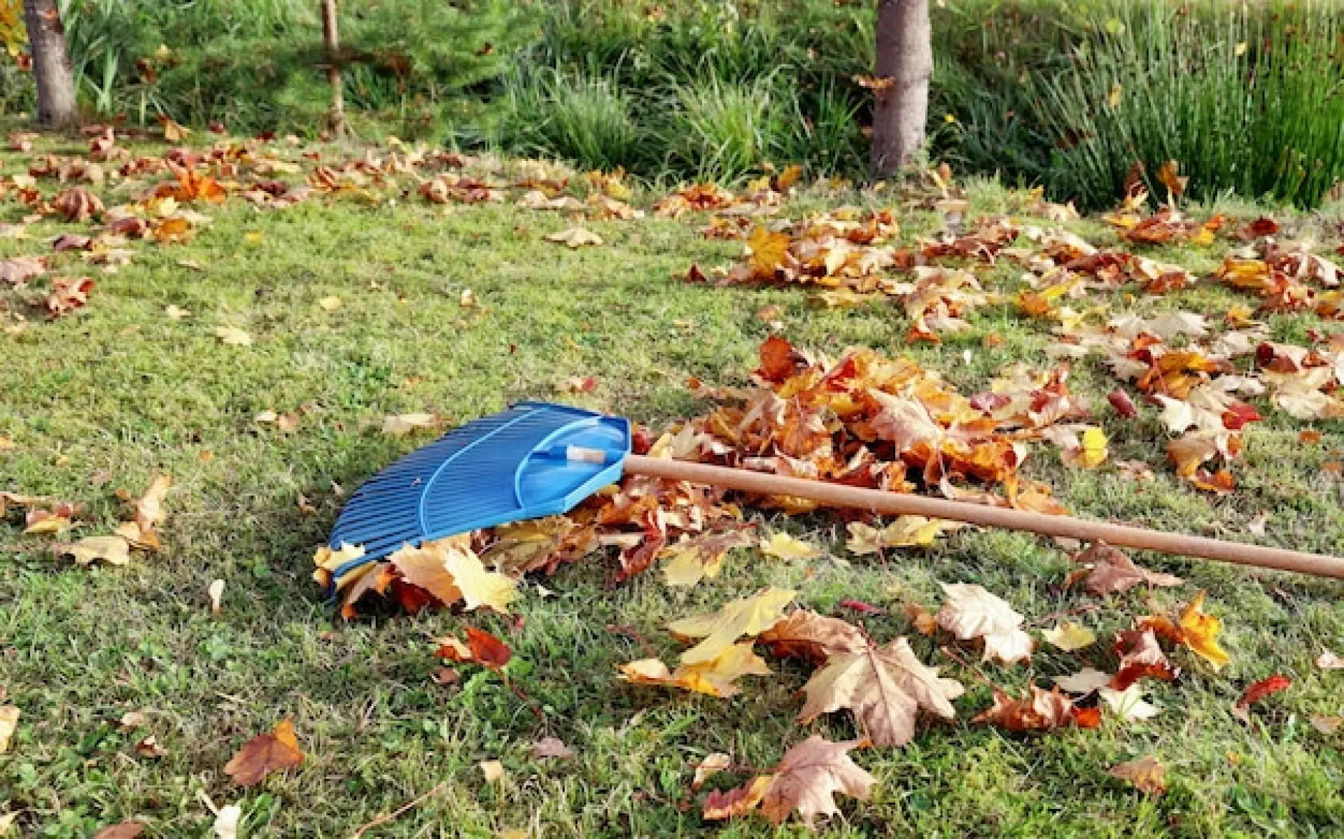 Best Practices for Garden Waste Removal