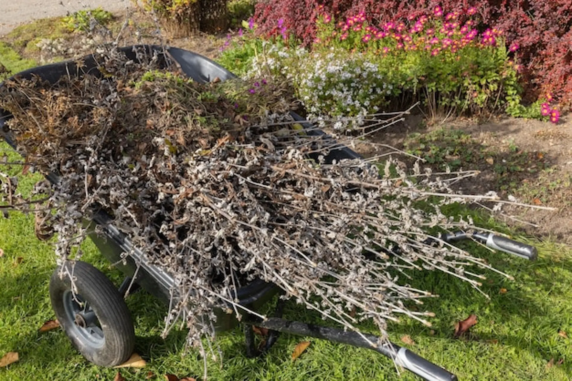 Professional Garden Waste Removal