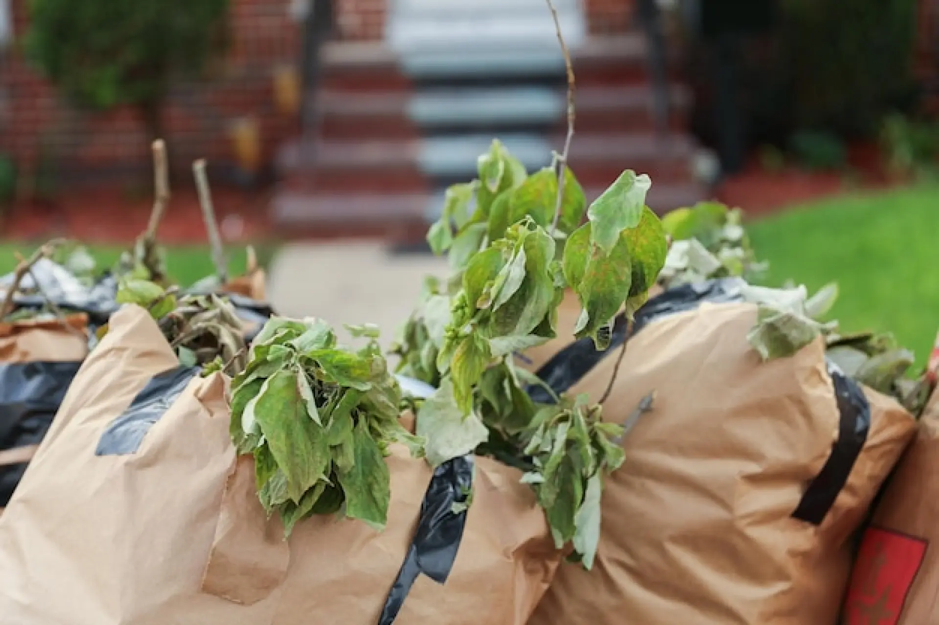 Best Practices for Garden Waste Removal Best Practices for Garden Waste Removal