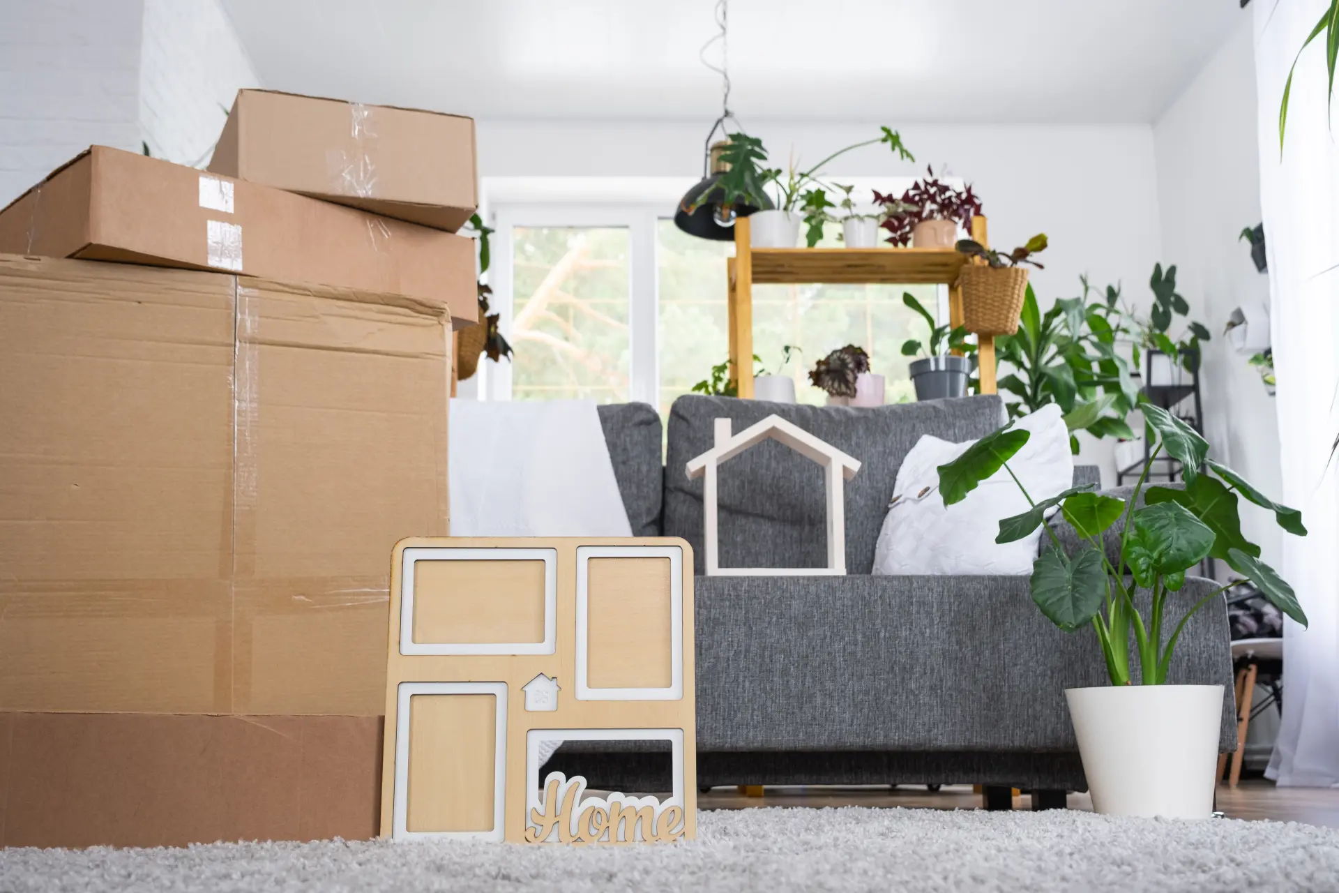 Barnsley House Clearance Near Me