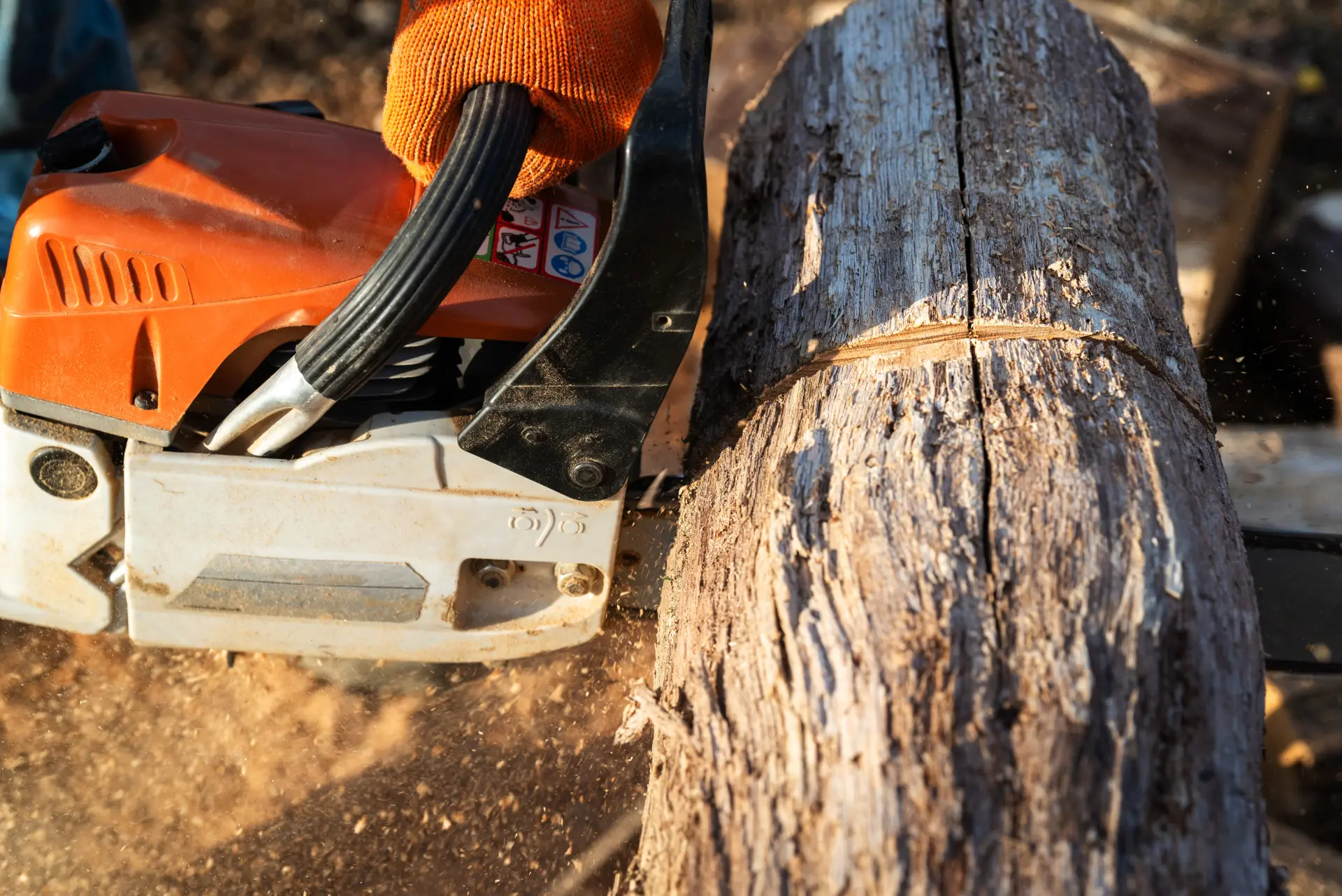 Tree Removal Dundee, Forfar, Angus and Aberdeenshire