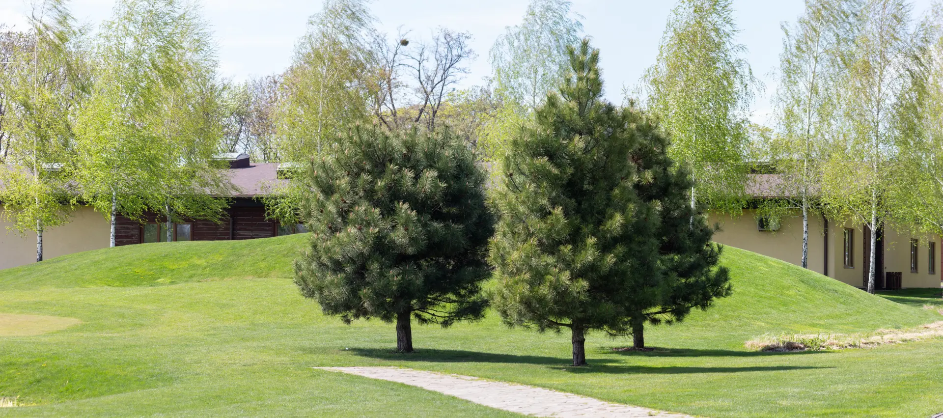 Why Is Tree Pruning Useful