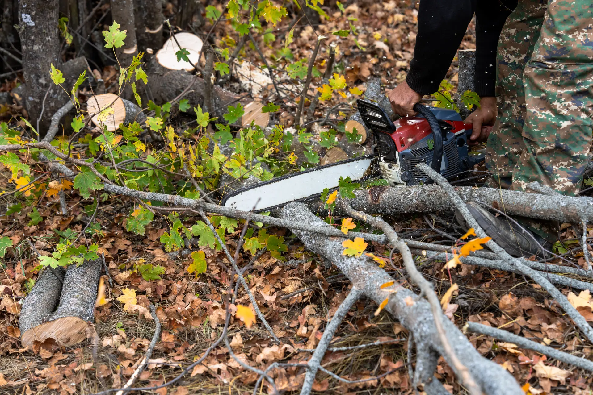 Commercial and Domestic Tree Removal