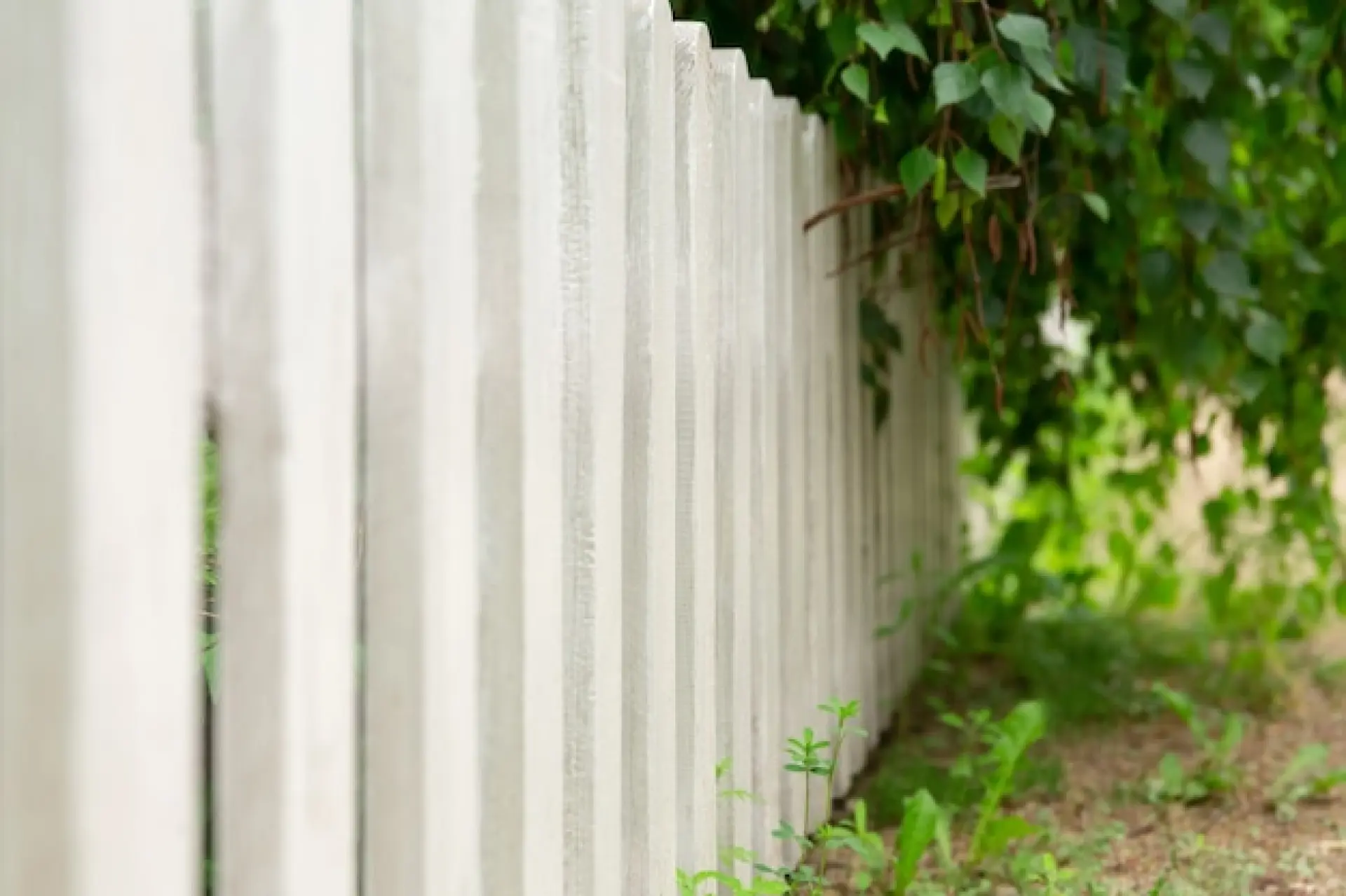 Maintaining Your Garden Fence