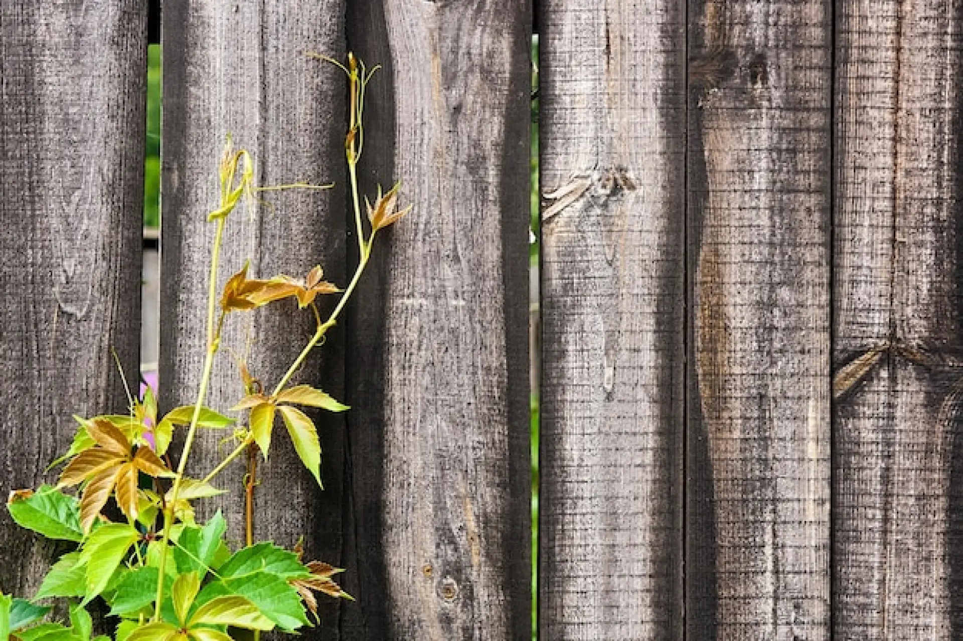 Designing a Safe Garden with Fencing