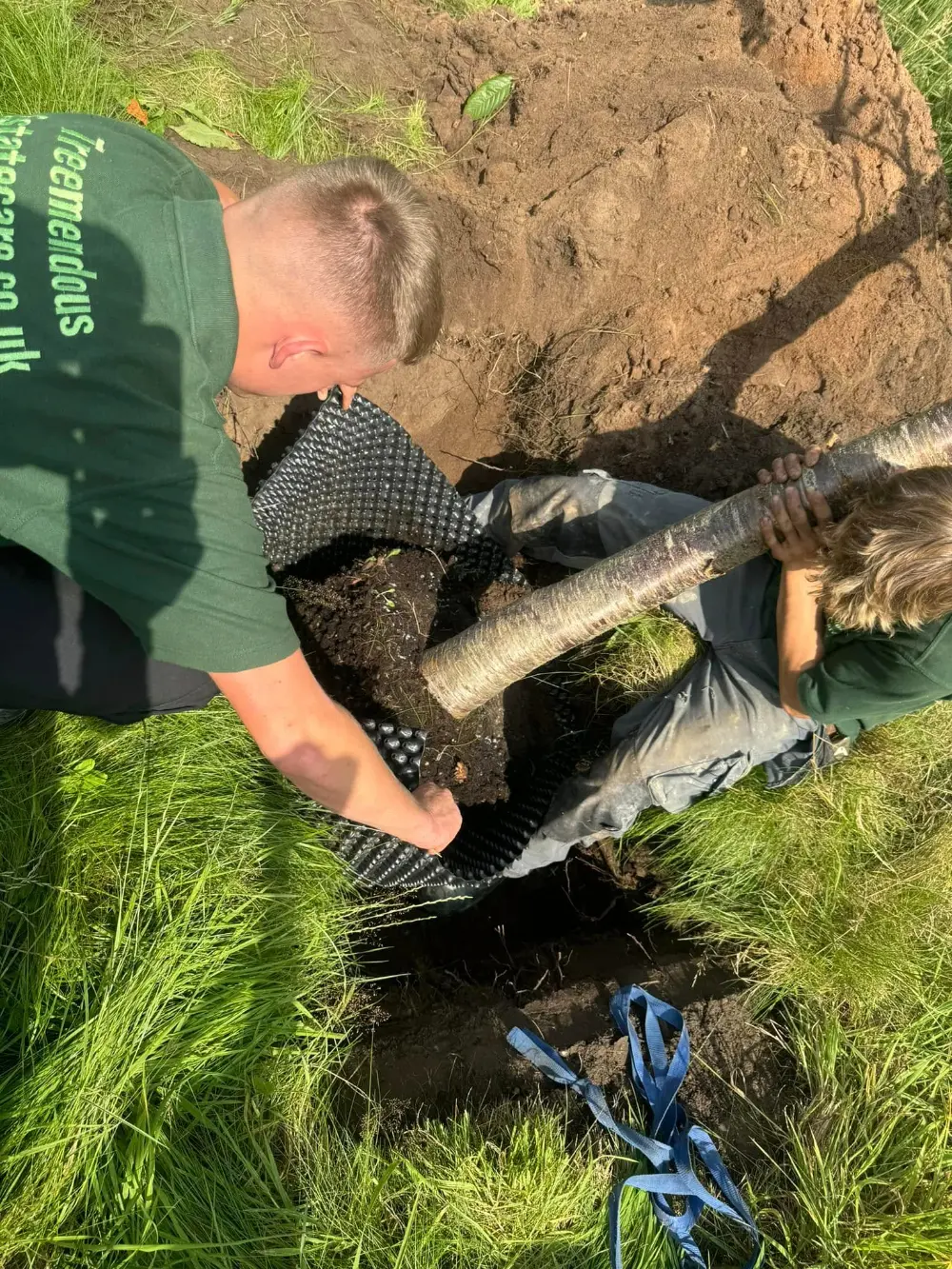 Tree Planting