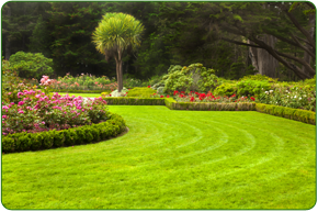 Bridgend Landscaping Services
