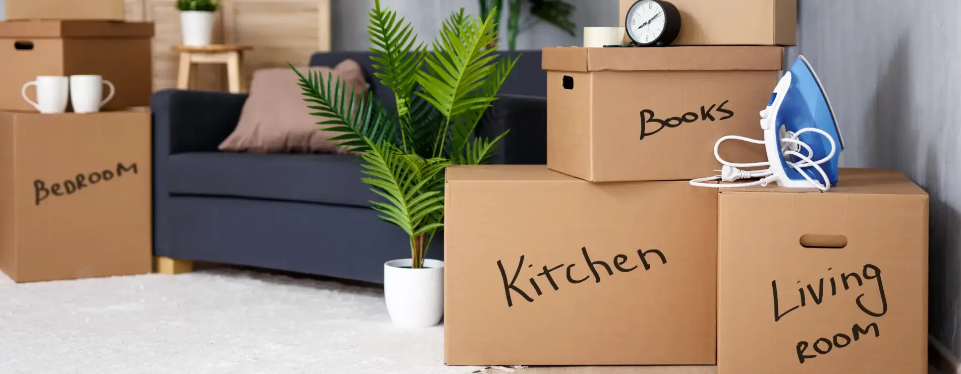 Rubbish Clearance vs Skip Hire