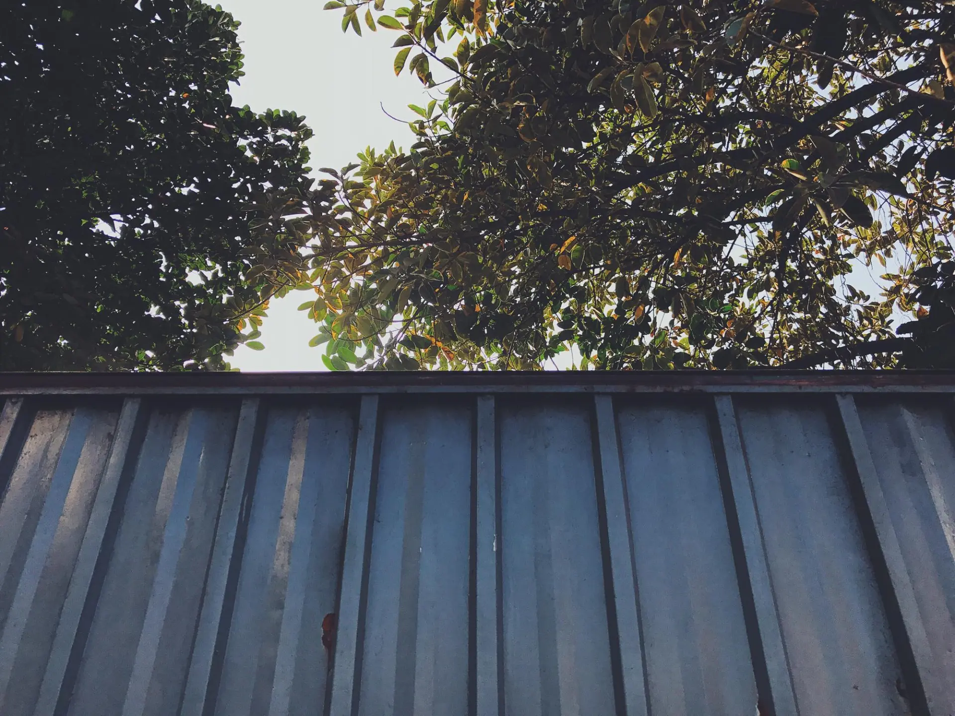 Zinc Roofing Cost Barking