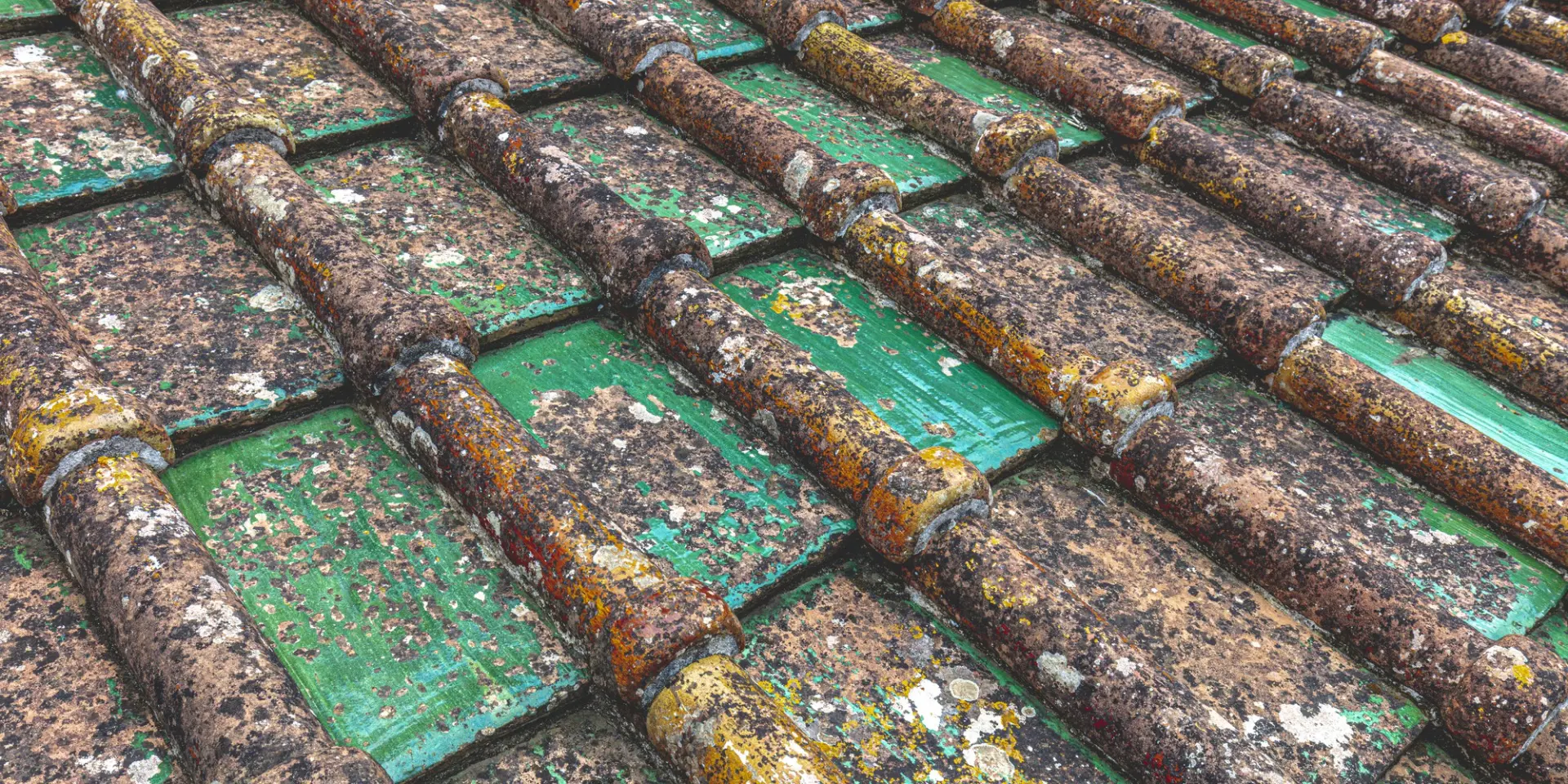 Zinc Roofing Corrosion 