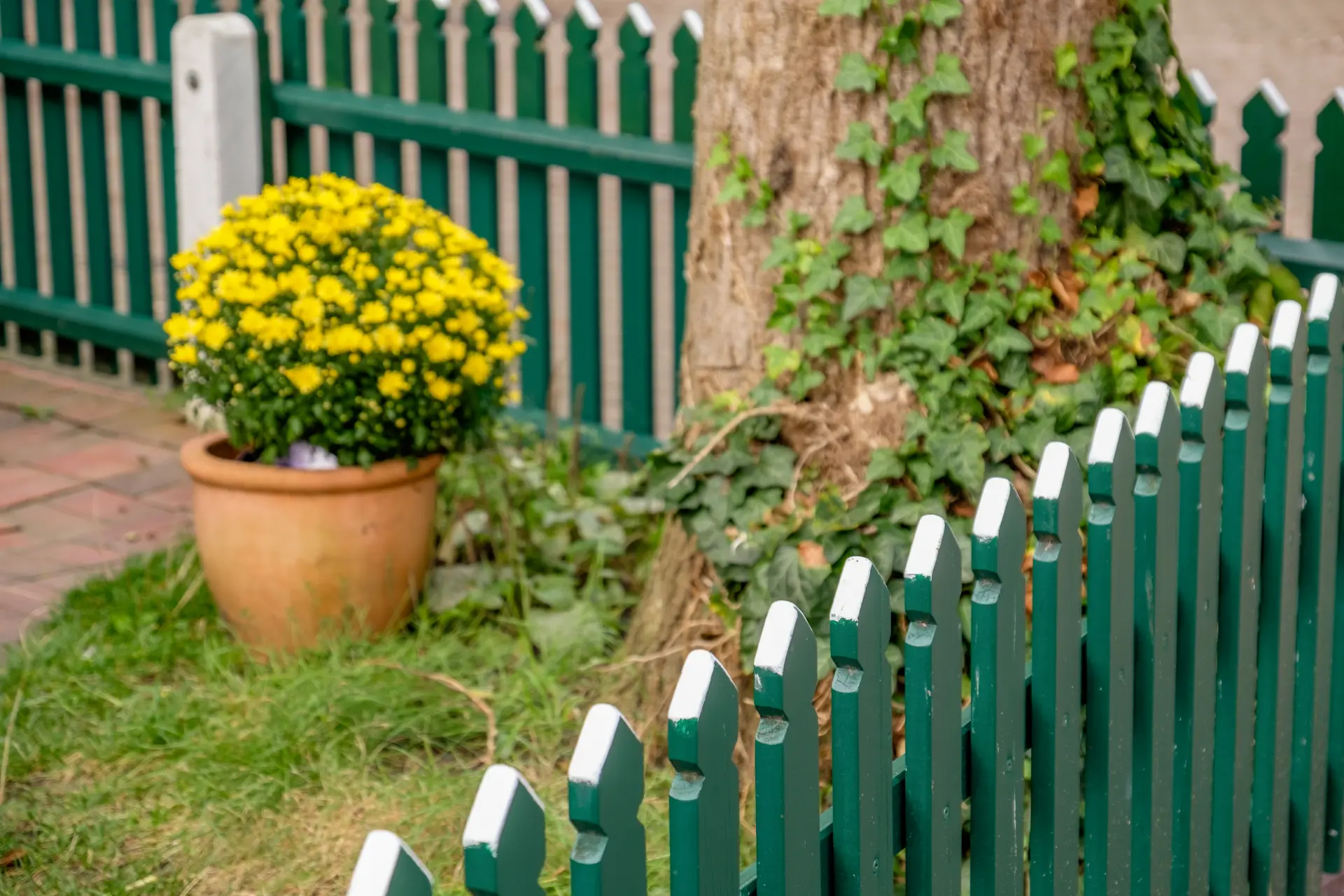 Can A New Fence Increase The Value Of Your Home? Fencing Contractors Milton Keynes, Buckinghamshire