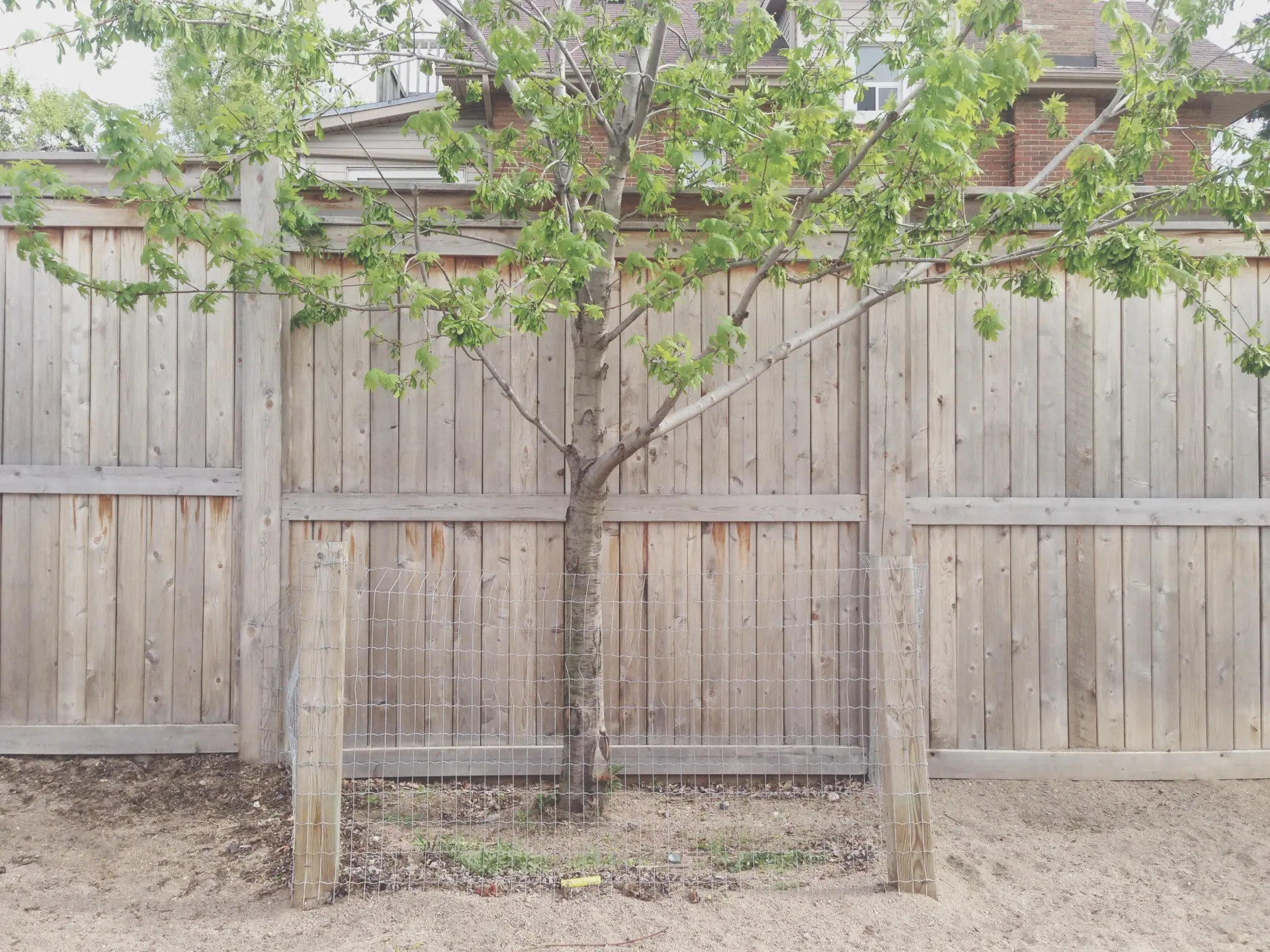 Fence Style - How To Choose A Garden Fence?