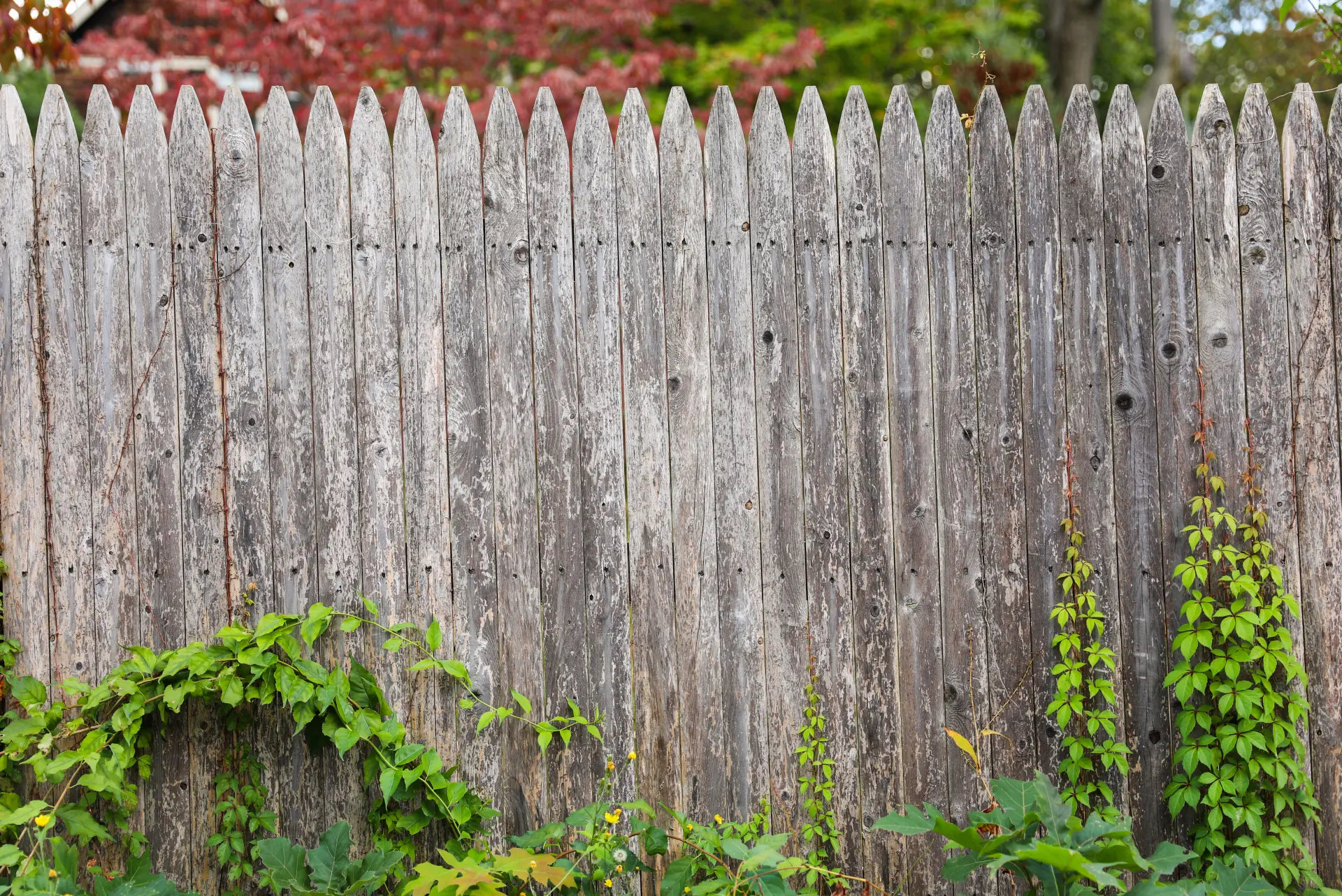Fence Style - How To Choose A Garden Fence?