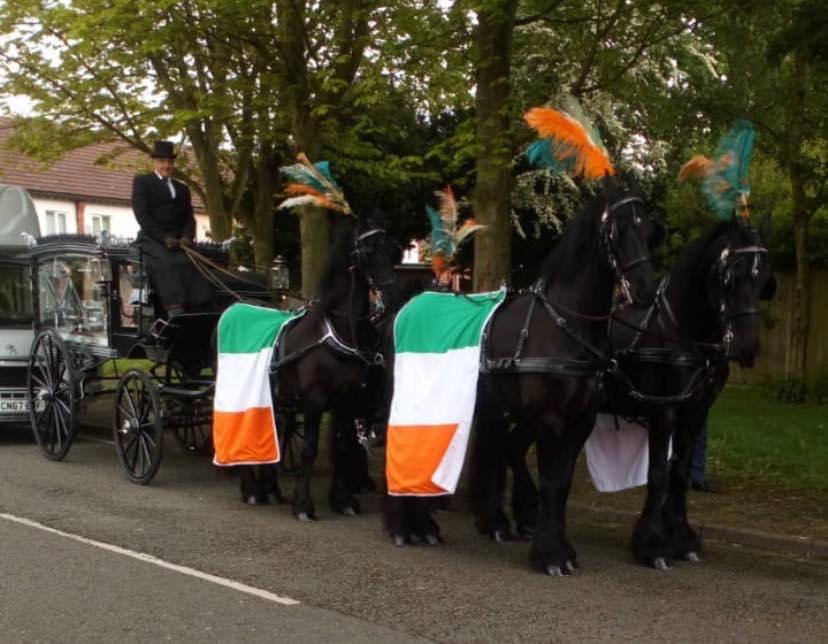 Horses and Carriage